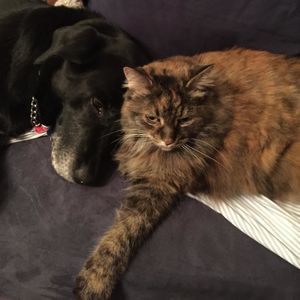 Meet your Posher, Regina